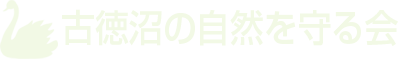 古徳沼の自然を守る会