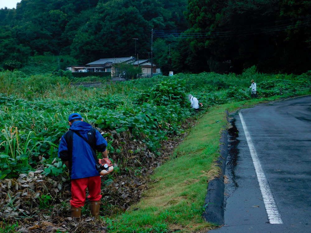 ボランティア活動