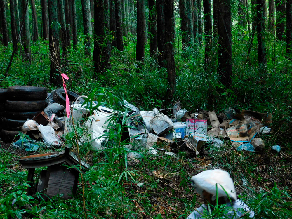 ボランティア活動