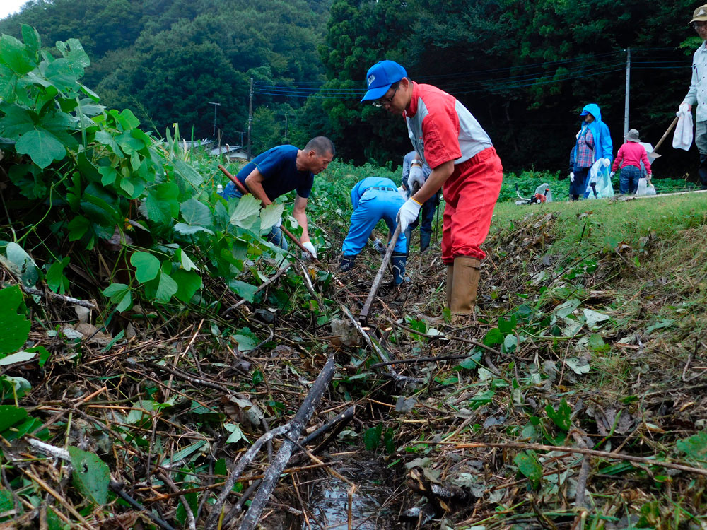 ボランティア活動