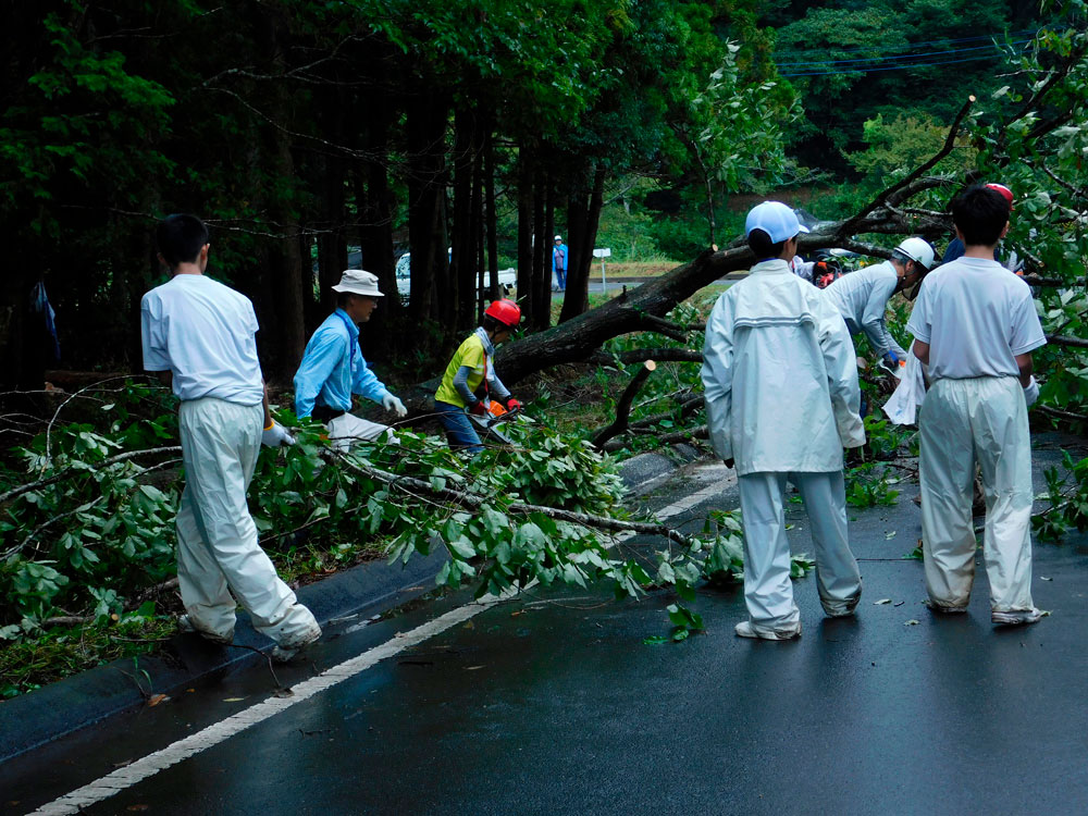 ボランティア活動