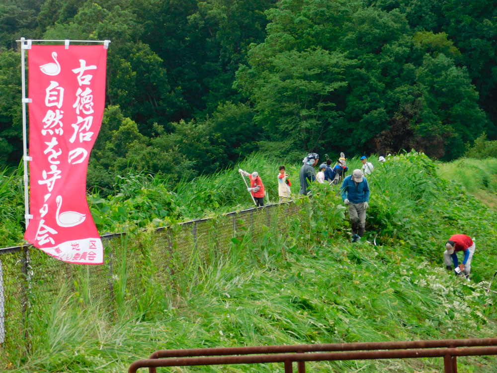 ボランティア活動