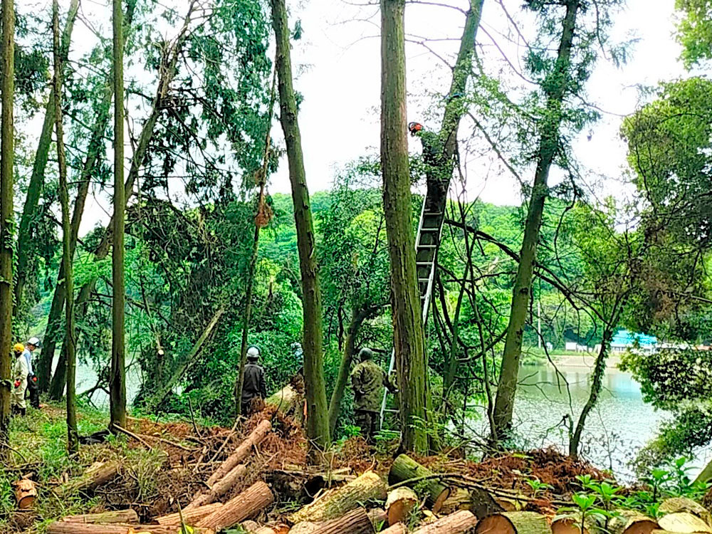 ボランティア活動