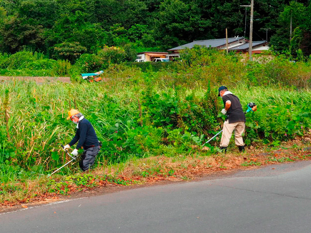 ボランティア活動