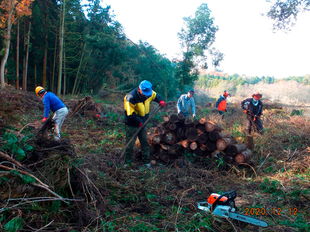 ボランティア活動